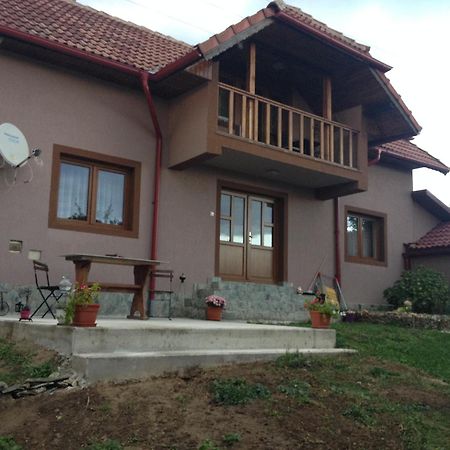 فيلا Casa Darius Novaci-Străini المظهر الخارجي الصورة