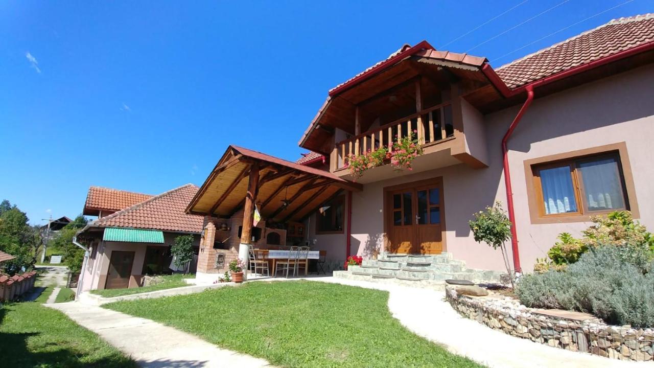 فيلا Casa Darius Novaci-Străini المظهر الخارجي الصورة