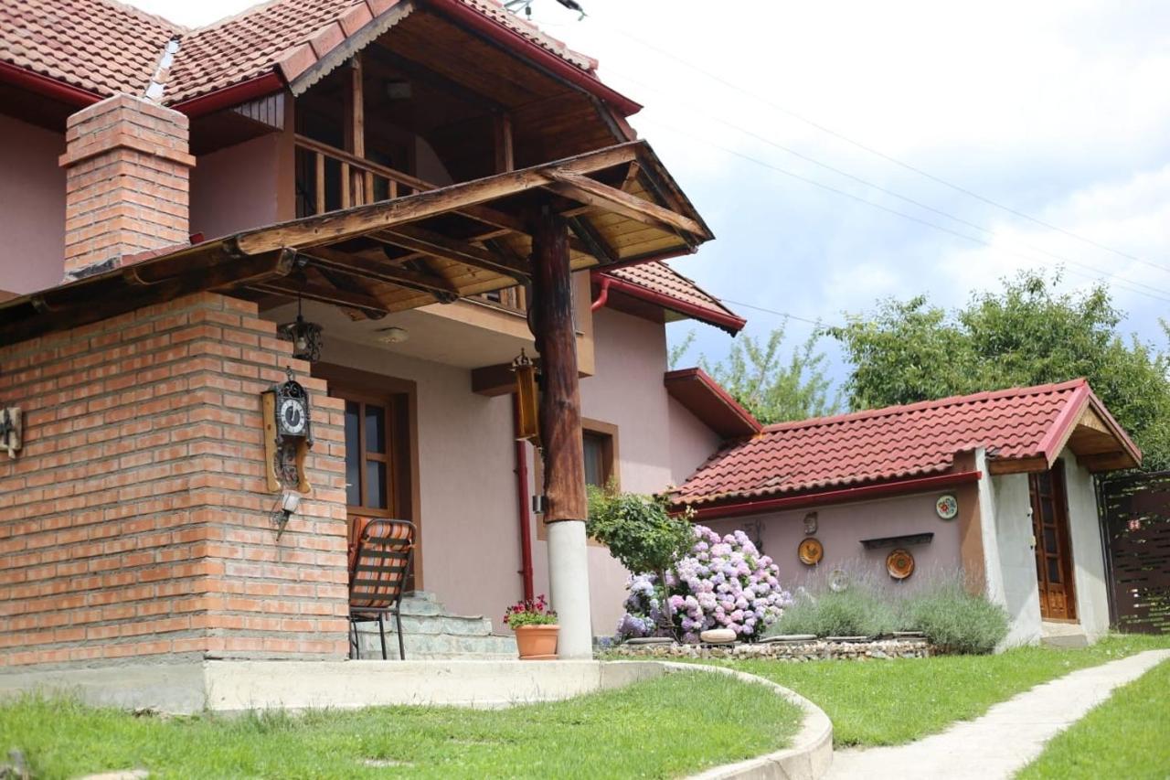فيلا Casa Darius Novaci-Străini المظهر الخارجي الصورة